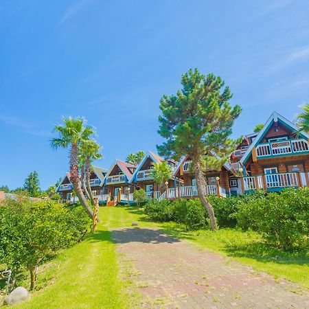 סאוגוויפו Jungmun Log Pension & Resort מראה חיצוני תמונה