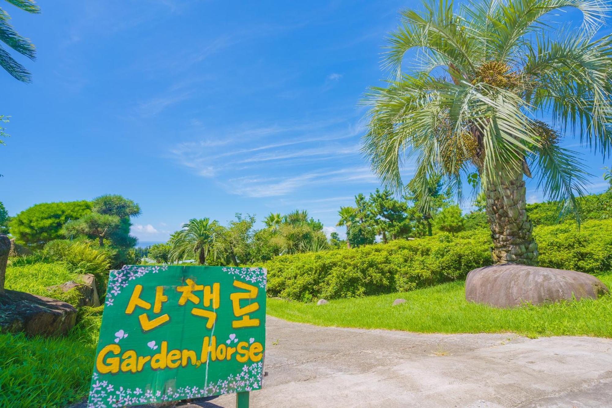סאוגוויפו Jungmun Log Pension & Resort מראה חיצוני תמונה