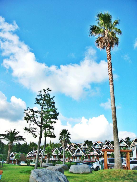 סאוגוויפו Jungmun Log Pension & Resort מראה חיצוני תמונה