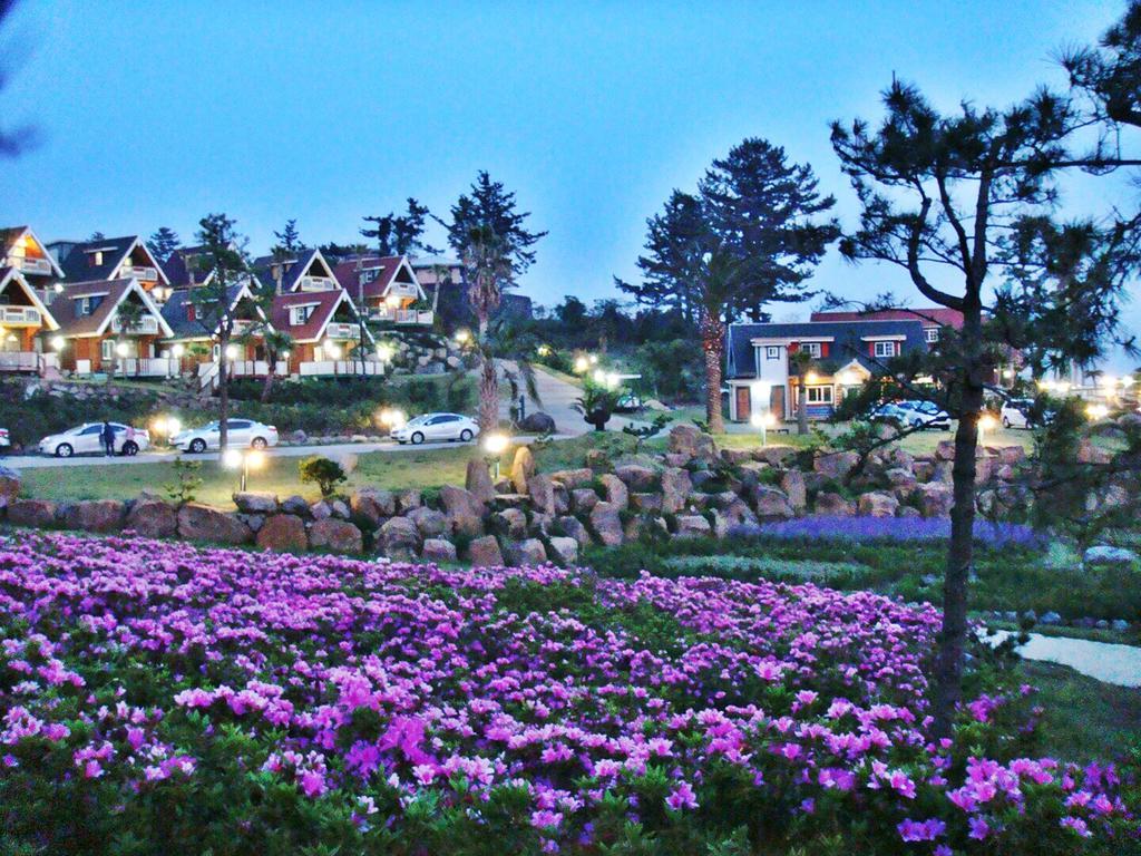 סאוגוויפו Jungmun Log Pension & Resort מראה חיצוני תמונה